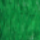 Permanent Green Light